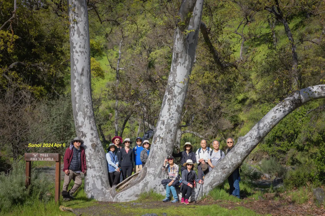 Sunol Regional Wilderness Apr 6, 2024